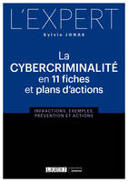 La cybercriminalité en 11 fiches et plans d'actions, Infractions, exemples, prévention et actions