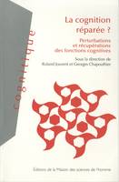 La cognition réparée ?, Perturbations et récupérations des fonctions cognitives