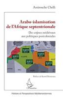 Arabo-islamisation de l'Afrique septentrionale, Des enjeux médiévaux aux politiques postcoloniales