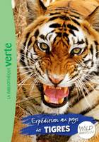 2, The wild immersion / Expédition au pays des tigres