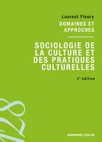Sociologie de la culture et des pratiques culturelles, Domaines et approches