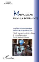 Madagascar dans la tourmente, Analyses socioéconomiques de la crise en zones rurales