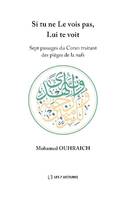 Si tu ne le vois pas, lui te voit, Sept passages du coran traitant des pièges de la nafs