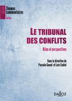 LE TRIBUNAL DES CONFLITS. BILAN ET PERSPECTIVES - 1ERE EDITION, Bilan et perspectives