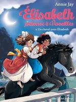 Un cheval pour Elisabeth, Elisabeth, princesse à Versailles - tome 6