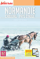 Guide Normandie-Cabourg-Pays d'Auge 2018 Carnet Petit Futé