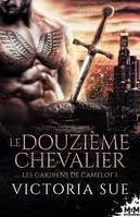 Le douzième chevalier, Les gardiens de Camelot, T1