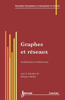 Graphes et réseaux - modélisation multiniveau, modélisation multiniveau