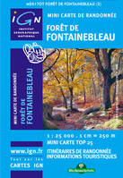 Mini Top 25, M2417 OT, Mini Forêt-de-Fontainebleau