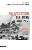Une autre histoire des Trente glorieuses, modernisation, contestations et pollutions dans la France d'après-guerre