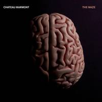 THE MAZE  (2 LP)