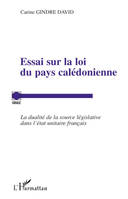 Essai sur la loi du pays calédonienne, La dualité de la source législative dans l'état unitaire français