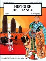 Histoire de France., [Tome 1], Les origines, Histoire de France Tome 1 - Les origines - De la Préhistoire aux Gaulois, Les origines - De la Préhistoire aux Gaulois