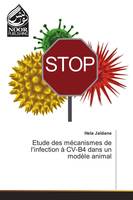 Etude des mécanismes de l'infection à CV-B4 dans un modèle animal