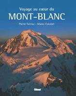 Voyage au coeur du Mont-Blanc