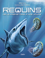 Requins , De la préhistoire à nos jours