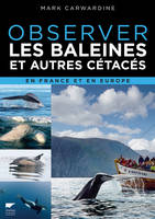 Observer les baleines et autres cétacés, En France et en Europe