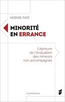 Minorité en errance, L'épreuve de l'évaluation des mineurs non accompagnés