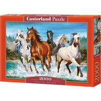 PUZZLE 2000 PCS - CHEVAUX AU GALOP