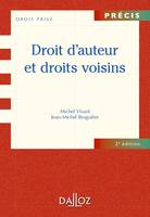 Droit d'auteur et droits voisins - 2e éd., Précis