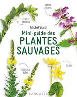 Mini-guide des plantes sauvages