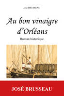 Au bon vinaigre d'Orléans, Roman historique