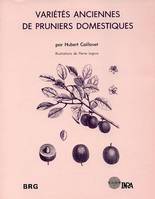 Variétés anciennes de pruniers domestiques