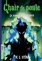 13, Chair de poule , Tome 13, Le fantôme d'à côté