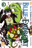 10, Blue exorcist T10