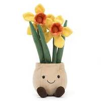 daffodil pot