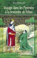 Voyage dans les Pyrénées à la rencontre de Fébus, Chroniques, livre III