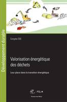 Valorisation énergétique des déchets, Leur place dans la transition énergétique