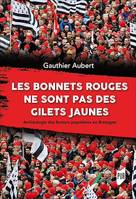 Les bonnets rouges ne sont pas des gilets jaunes, Archéologie des fureurs populaires en Bretagne