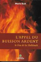 L'appel du Buisson ardent, Le feu de la shékinah