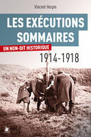 Les exécutions sommaires, 1914-1918, Un non-dit historique ?