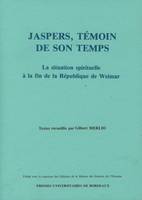 Jaspers, témoin de son temps, La situation spirituelle à la fin de la République de Weimar