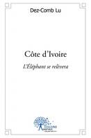 Côte d'Ivoire, L’Éléphant se relèvera