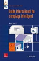 Guide international du comptage intelligent