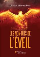 Les non-dits de l'éveil, Roman