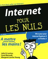 Internet 16e Pour les nuls