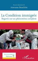 La condition immigrée, Regards sur un phénomène complexe