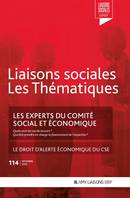 Les experts du comité social et économique, Le droit d'alerte économique du CSE