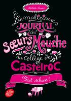 3, Le malicieux journal des soeurs Mouche au collège de Castelroc - Tome 3, Tout schuss !