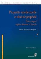 Propriété intellectuelle et droit de propriété, Droit comparé anglais, allemand et français