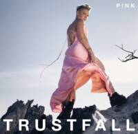 Trustfall ~ Wide Physical Products