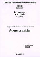 LE DOSSIER A PHOTOCOPIER  LA SORCIERE MAL AIMEE -