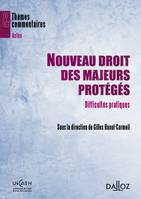 Nouveau droit des majeurs protégés, Difficultés pratiques