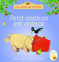 Petit cochon est coincé - Les contes de la ferme