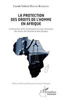 La protection des droits de l'homme en Afrique, L'interaction entre Commission et cour africaines des droits de l'homme et des peuples