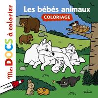 Les bébés animaux